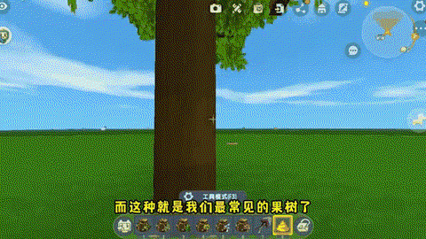 迷你世界果木树怎么种[图1]