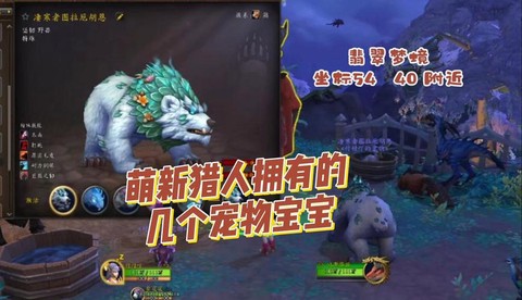 魔兽世界猎人升级带什么宝宝[图1]