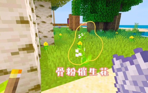 我的世界骨粉怎么用