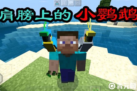 我的世界怎么训鹦鹉