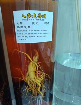 古剑奇谭人参有什么用