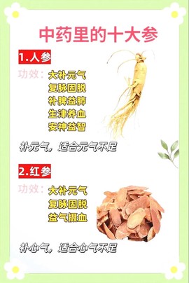 古剑奇谭人参有什么用[图1]