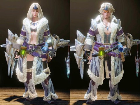 怪物猎人衣服怎么获得[图2]