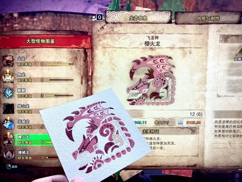 怪物猎人2g火龙怎么打[图2]