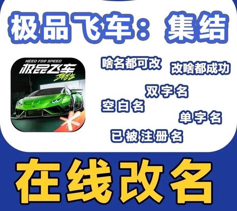 极品飞车名字怎么设置[图2]